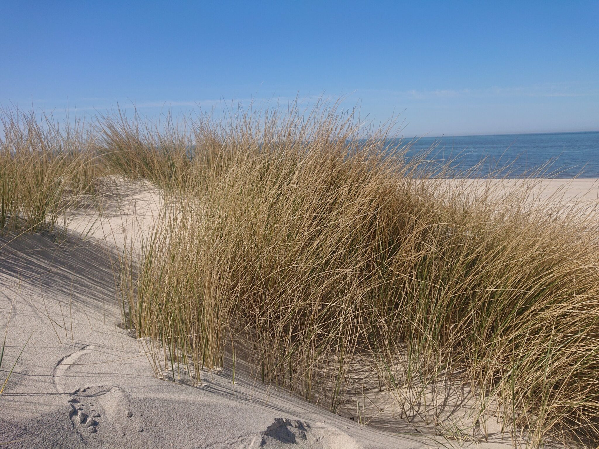 Sanddüne, Strandhafer, Meer, Fußspur, Himmel